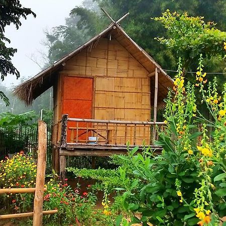 Baan Aingdoi Homestay, 치앙다오 외부 사진