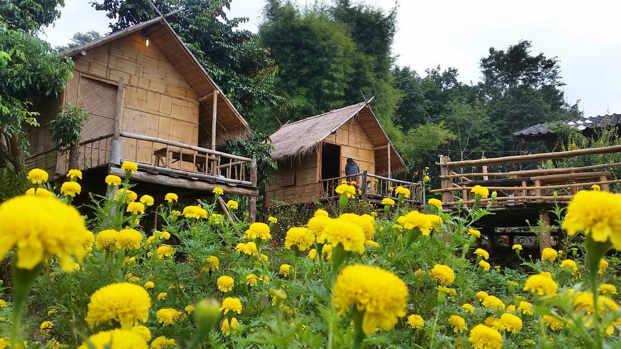 Baan Aingdoi Homestay, 치앙다오 외부 사진