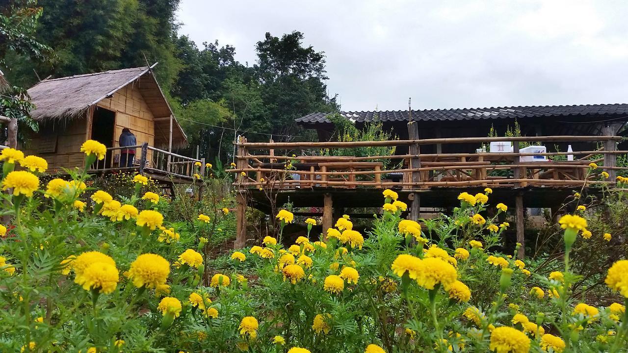 Baan Aingdoi Homestay, 치앙다오 외부 사진