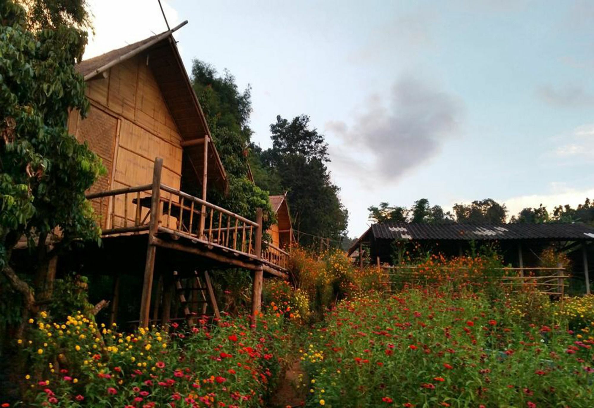 Baan Aingdoi Homestay, 치앙다오 외부 사진