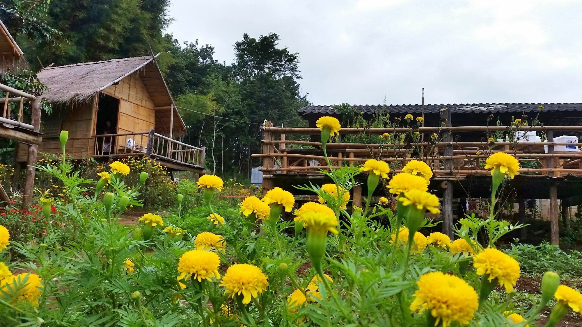 Baan Aingdoi Homestay, 치앙다오 외부 사진