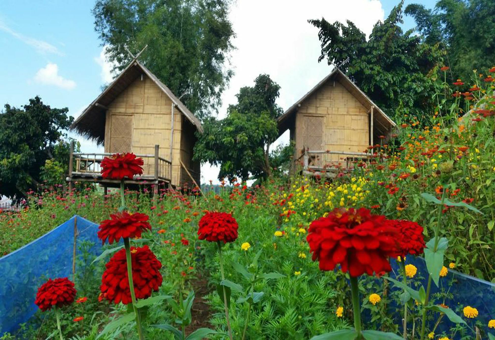 Baan Aingdoi Homestay, 치앙다오 외부 사진