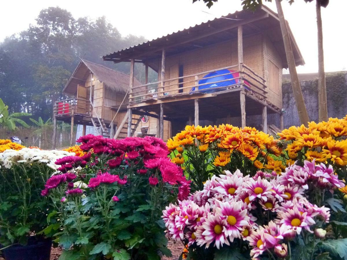 Baan Aingdoi Homestay, 치앙다오 외부 사진