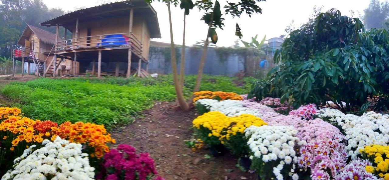 Baan Aingdoi Homestay, 치앙다오 외부 사진