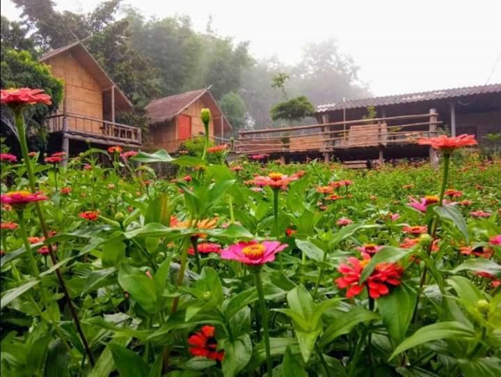 Baan Aingdoi Homestay, 치앙다오 외부 사진