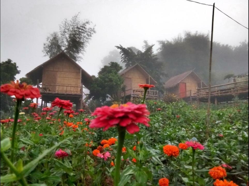 Baan Aingdoi Homestay, 치앙다오 외부 사진